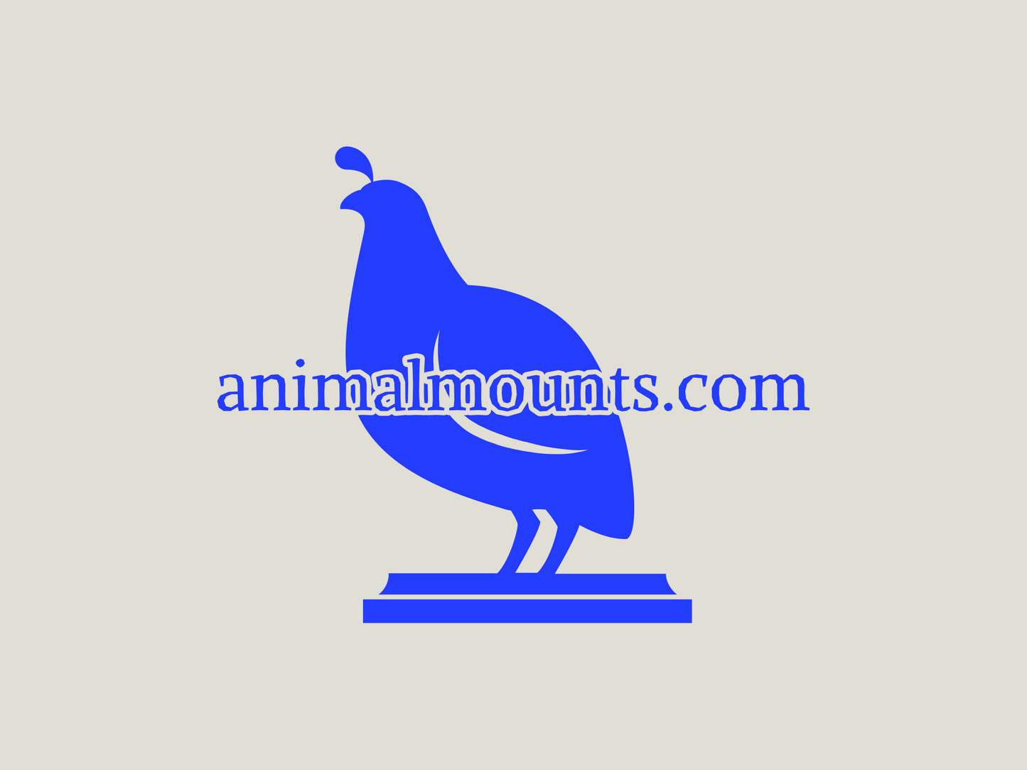 animalmounts.com